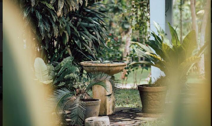 Amara Villa Ahangama Bagian luar foto